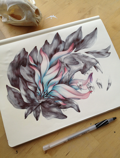 illustration-t.s.claire-2