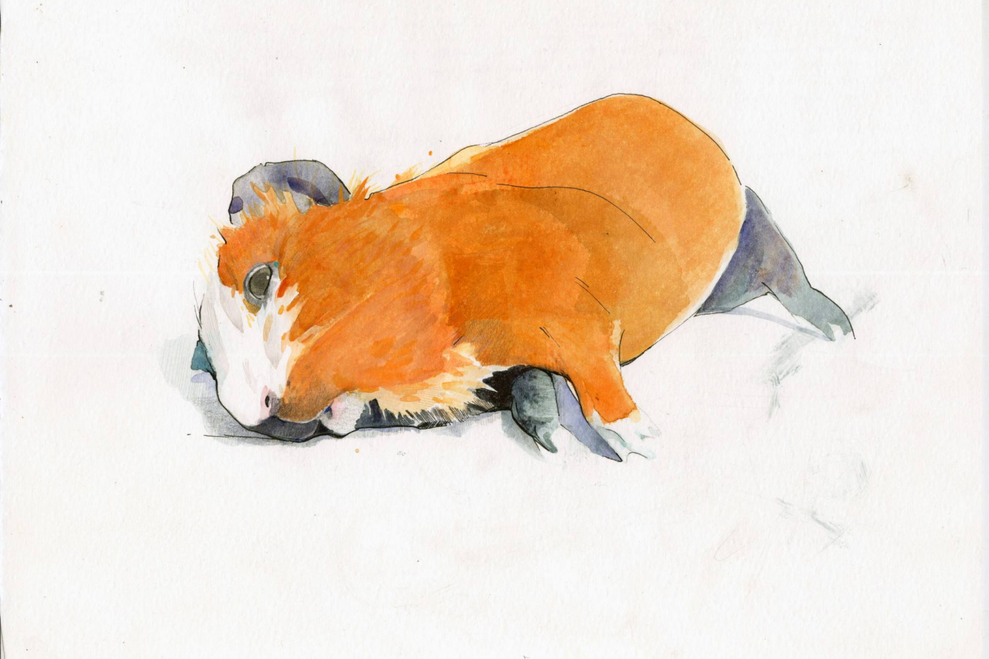 Benjamin-Bjorklund-7