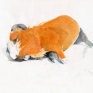 Benjamin-Bjorklund-7