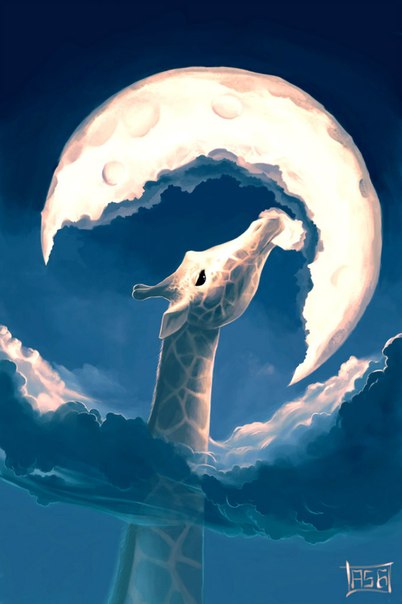 Cyril-Rolando-6