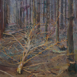 Silence in the woods II, 50 x 60, oil on canavas