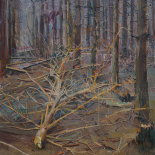 Silence in the woods II, 50 x 60, oil on canavas