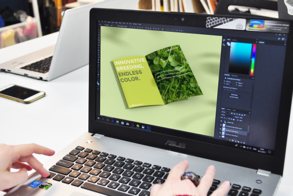 Frame 1321319117 (1)