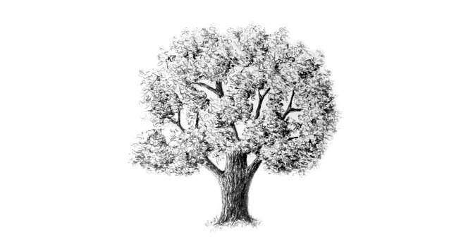 как-рисовать-деревья-20