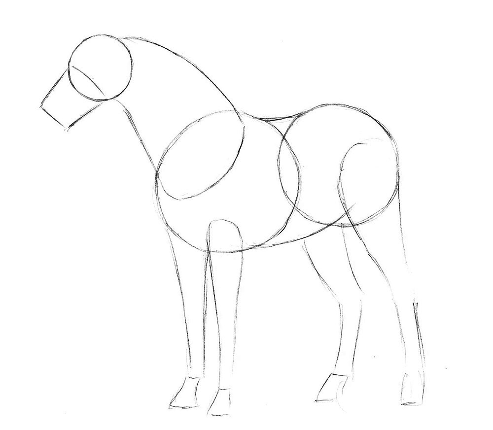 Лошадка 5 класс. Рисунки лошади карандашом для начинающих. Рисунок лошади 6 класс изо. Рисуем лошадь с детьми. Нарисовать лошадь поэтапно.