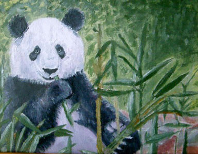 panda