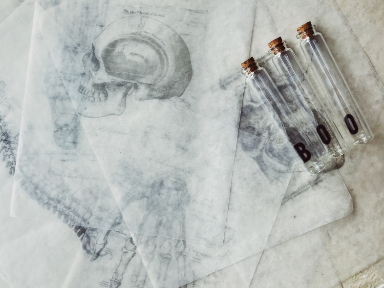 joyce-mccown-iu9UEWRanSc-unsplash