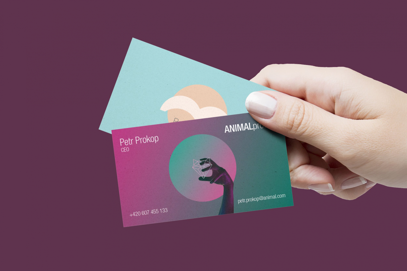 Snímek obrazovky 2022-03-07 v 15.06.12