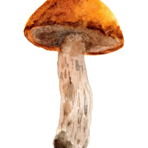 49f433aa48af0f1e2765b9011e0883c5