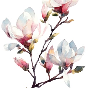 c417de21e7dc7abf34d78b37aa7bd963