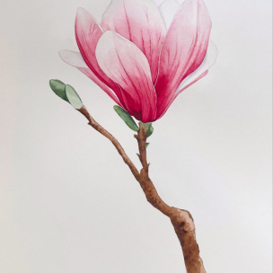 dac29aa72852c2e70e3347d3463f5db6