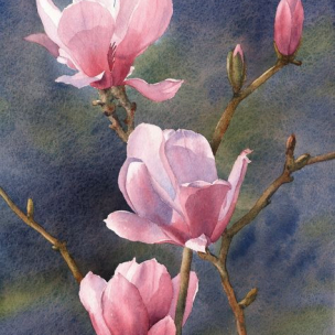 fae7f5536c51d3dca5c84210b9116731